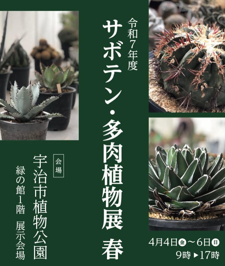 京都シャボテンクラブがサボテン・多肉植物展を開催、宇治市植物公園で珍品銘品の展示と販売が実現