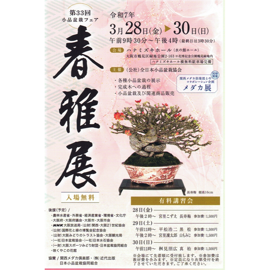 全日本小品盆栽協会が第33回春雅展を大阪で開催、長寿梅や黒松などの小品盆栽と有料講習会で盆栽文化を発信
