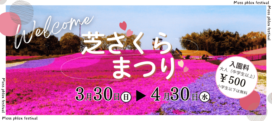 栃木県市貝町が2025芝ざくらまつりを開催、色鮮やかな花のグラデーションが春の里山を彩る