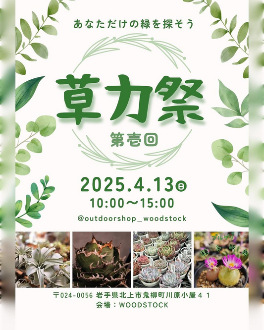 多肉屋GKPが草力祭で北上市に初出店、Titanota各種を特別価格で提供しコレクター必見の植物イベントが開催