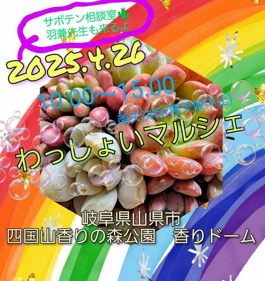 わっしょいマルシェが岐阜県山県市で開催決定、48店舗の多肉植物・サボテン専門店が集結する大規模植物イベント