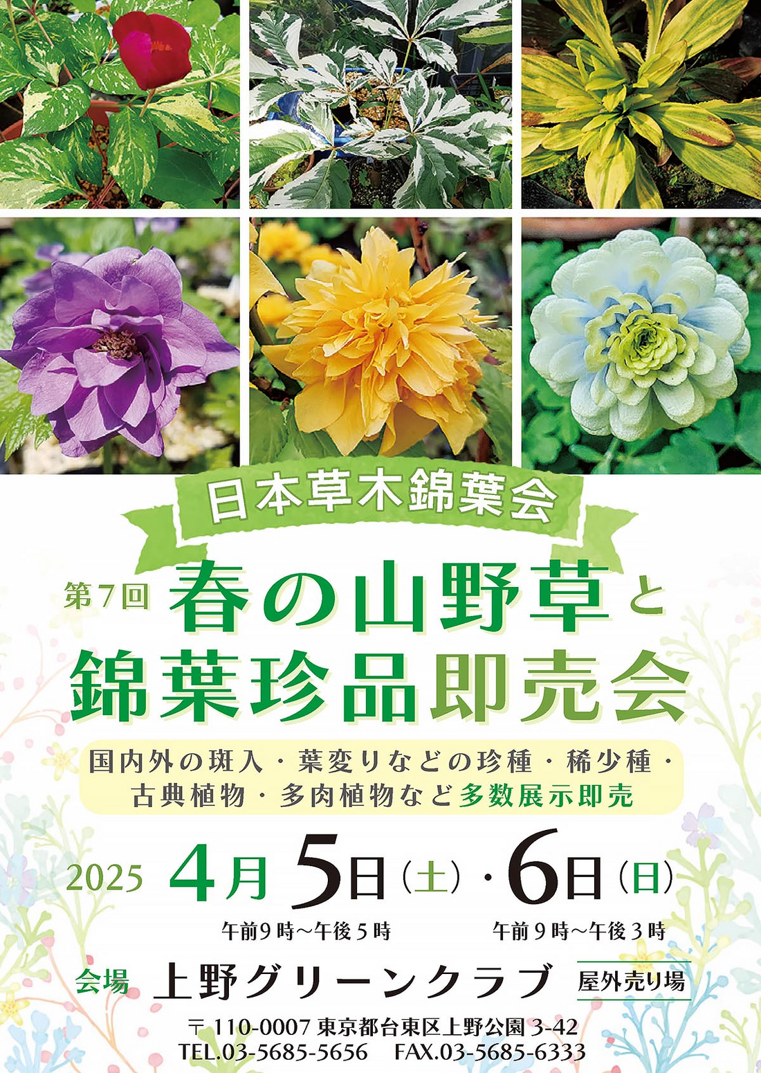 上野で第7回山野草即売会開催、春の植物の魅力を体験