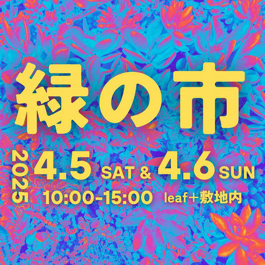leaf+が春の緑の市イベントを開催、多肉植物から珍奇植物まで多彩な出店者が集結し植物愛好家の交流の場を創出