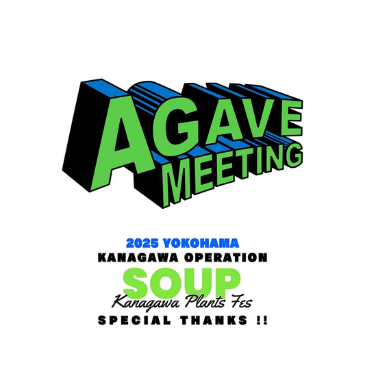 AGAVE MEETINGがアガベの展示品評会を横浜で開催、SOUP SHONANとのコラボで植物シーン屈指のイベントに