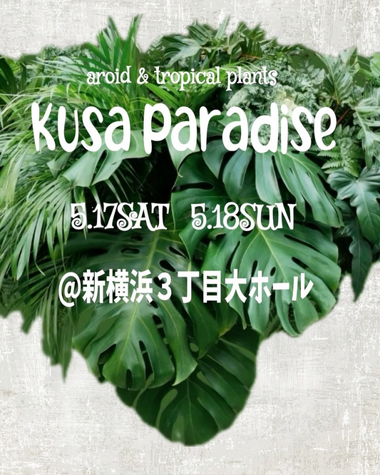 草パラダイスvol.5が新横浜で開催、初の海外ナーセリー参加で観葉植物ファン必見のイベントに