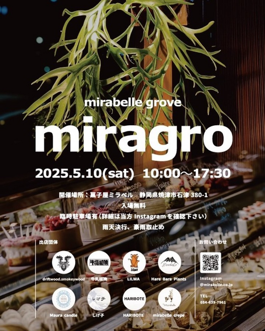 菓子屋ミラベルがMIRA GROイベントを開催、スイーツと植物が融合した母の日直前の特別企画