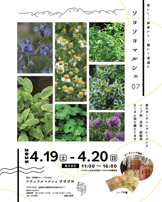 池田町ハーブステーションがソヨソヨマルシェ07を開催、長野県で春のガーデニングフェスティバルが4月に実現