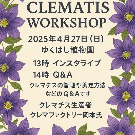 クレマファクトリーがクレマチスワークショップを開催、ゆくはし植物園で初心者向け育成講習が実現