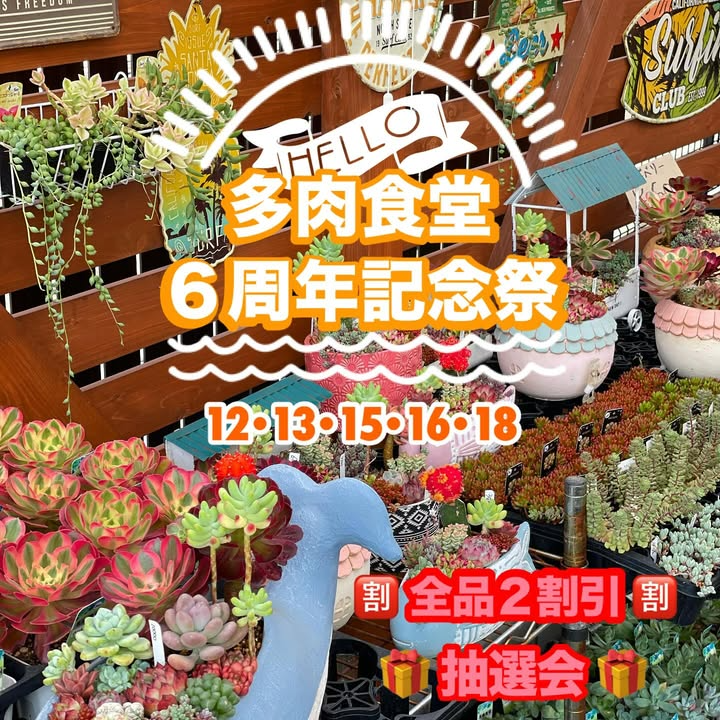 多肉食堂が6周年記念祭を開催、全商品20%OFFと3000円以上購入でくじ引き特典も実施