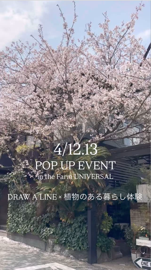 DRAW A LINEが植物のある暮らし体験イベントを開催、限定セットの販売とSNS特典も実施