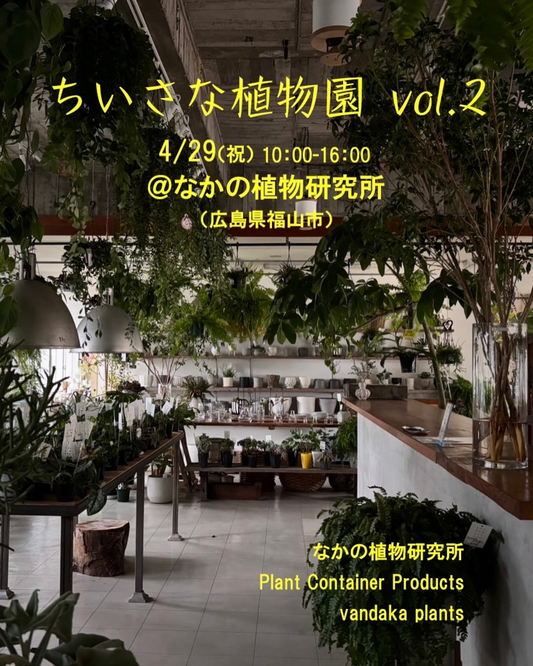 なかの植物研究所が小さな植物園vol.2を福山市で開催、サボテンや塊根植物など多肉植物の展示販売イベントが実現
