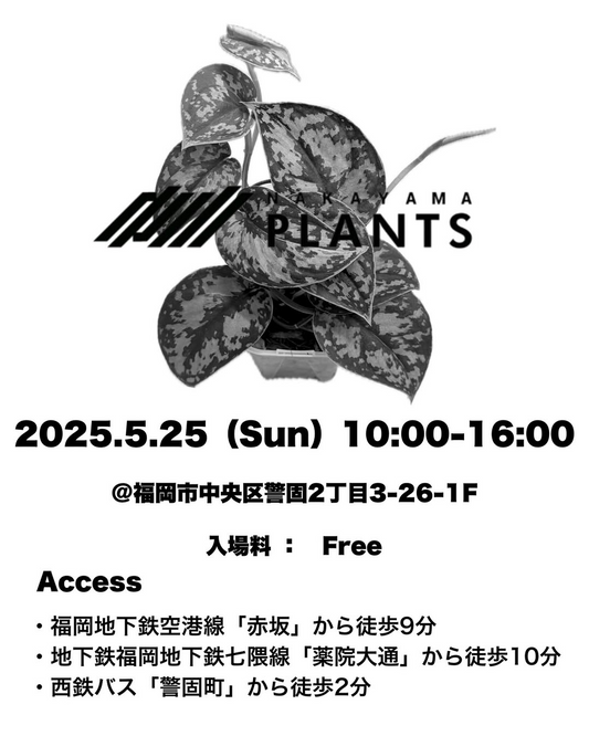 Nakayama Plantsがスキンダプサス専門店の出張販売イベントを福岡で開催、珍しい品種との出会いの場を提供