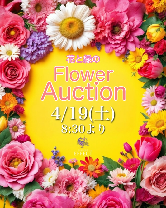 FUKUOKA EFFECTが花と緑のフラワーオークションを4月19日に開催、植物の育て方も学べる参加型イベントとして注目