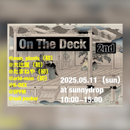 On The Deck 2ndが兵庫県加東市で開催、アガベなど多肉植物専門店6店舗が出店して希少種も多数展示販売