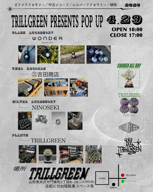 TRILLGREENが米沢上杉まつり初日にPOP UPイベントを開催、ガラスアートや中古レコードなど多彩な出店が上杉神社前に集結