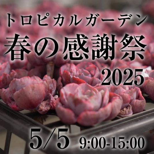 トロピカルガーデンハウスが5月5日に春の感謝祭を開催、オリジナル交配実生苗や韓国苗の販売・ワークショップが充実