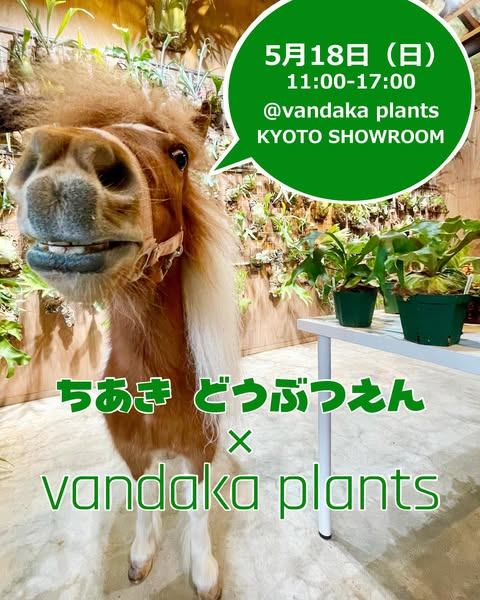ちあきどうぶつえん vol.4が京都で開催、vandaka plantsとのコラボで動物と植物の魅力を同時に体験