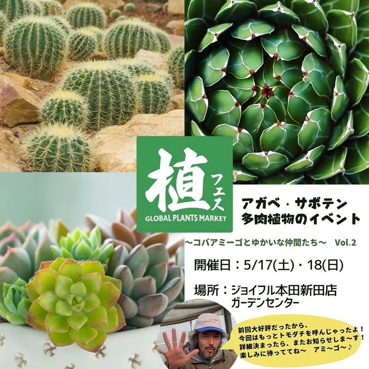 ジョイフル本田が植フェス Vol.2を開催、アガベやサボテンなど多肉植物イベントが群馬県で実施