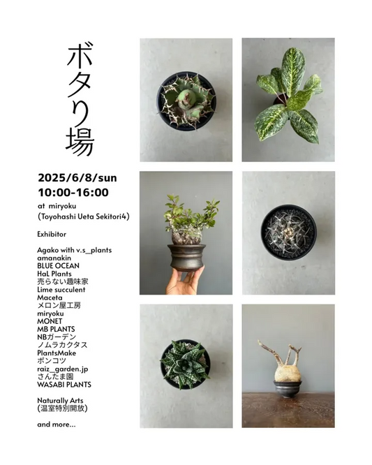 ボタり場が2025年初夏開催を発表、豊橋市で多彩な植物販売イベントが6月に実現