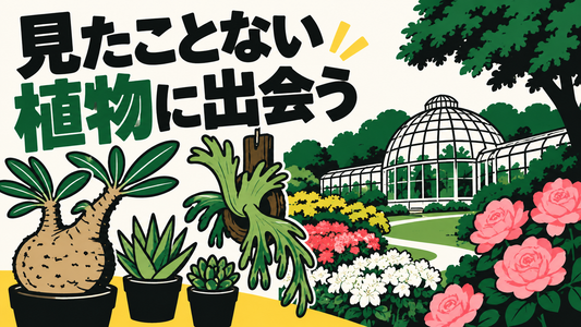 珍奇植物の展示販売会と神代植物公園、植物を楽しむ施設・イベント情報
