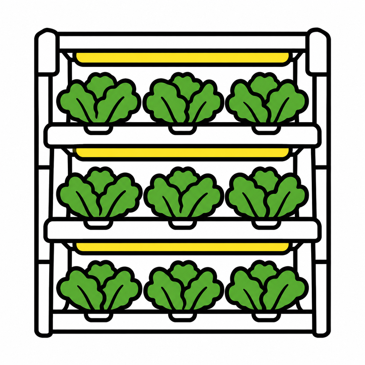 20の条件を制御する植物工場、プランテックスのレタス栽培技術