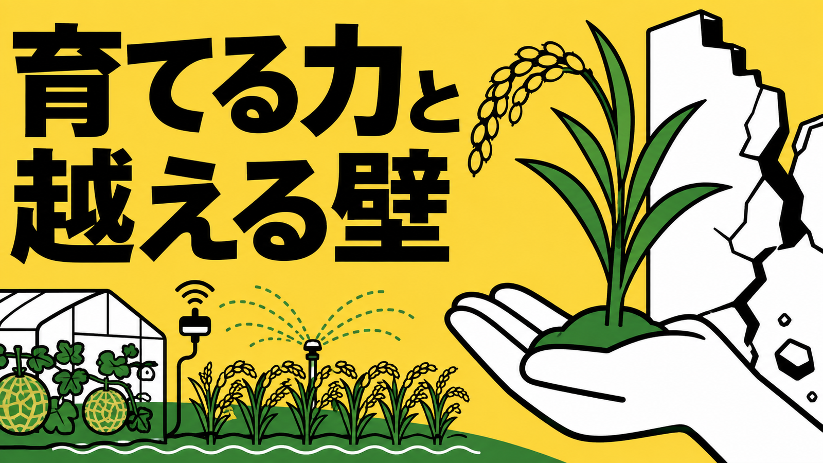 有機農業の拡大と課題、各地で進む生産転換
