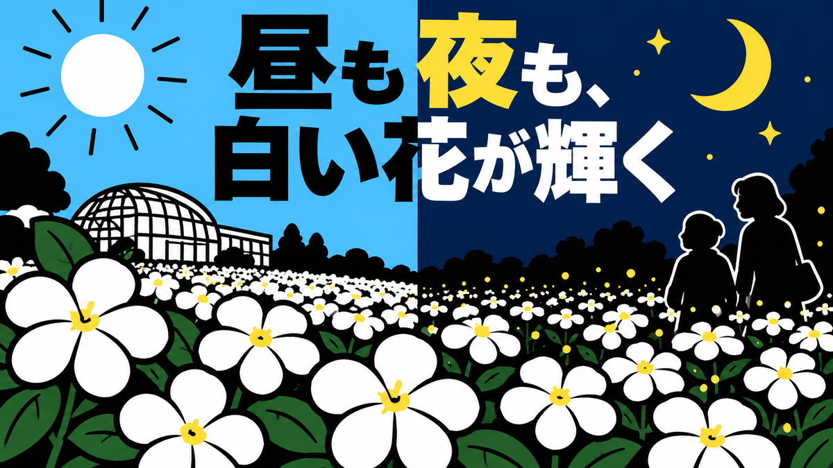 長居植物園で白い花を楽しむ、昼と夜の9月イベント