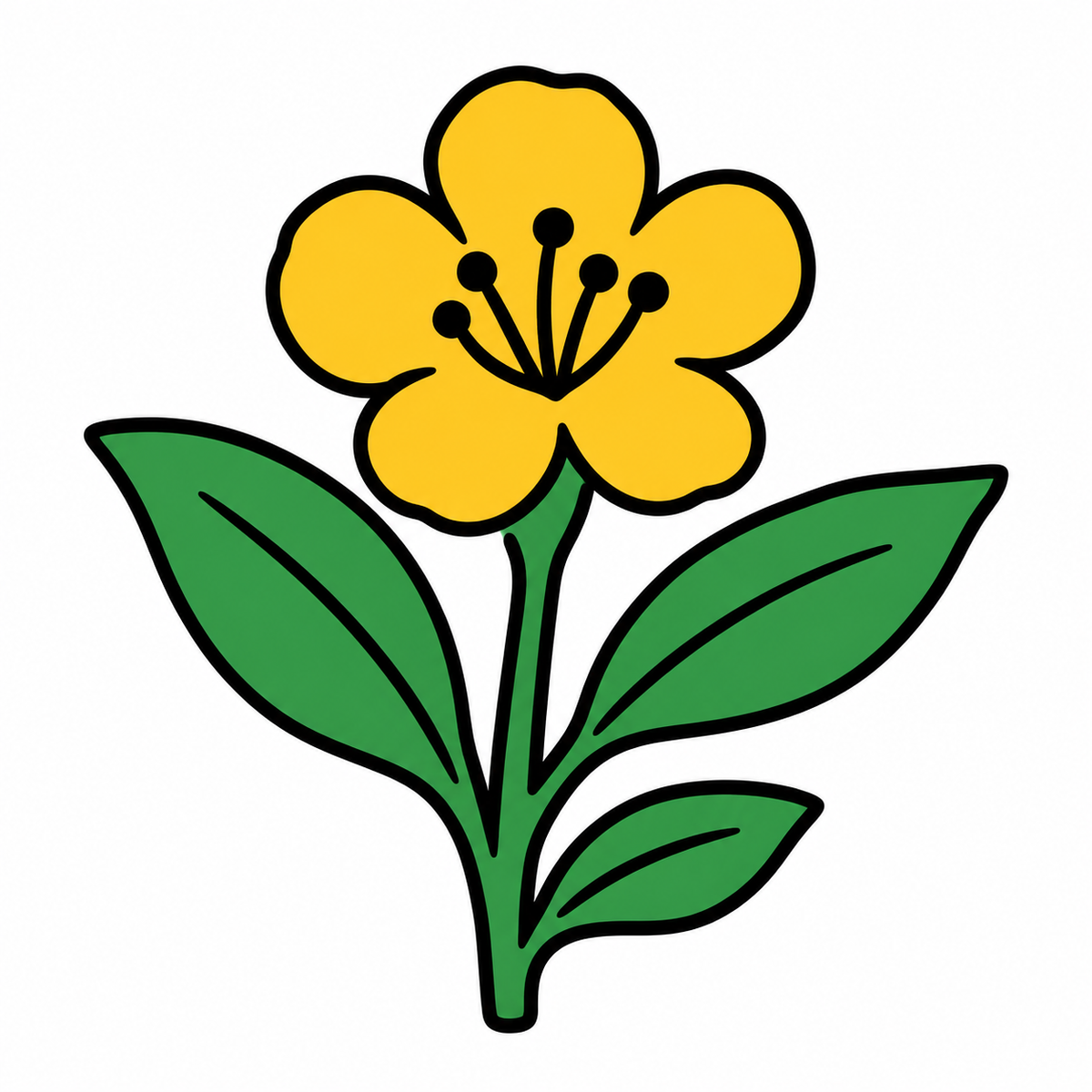 賀蘭山の科学調査で昆虫・植物の新種6種を確認