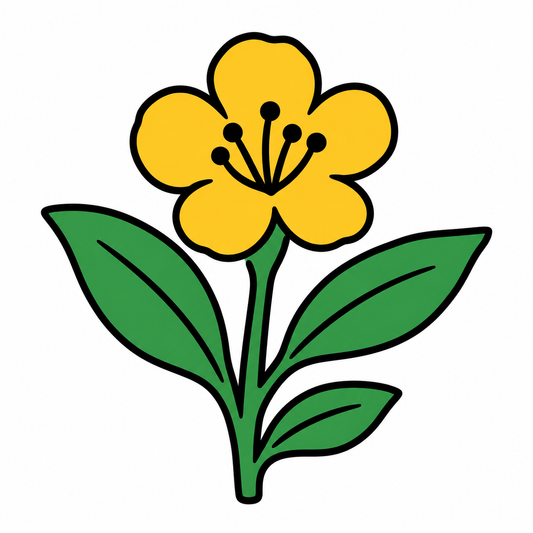 賀蘭山の科学調査で昆虫・植物の新種6種を確認