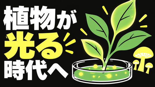 植物・園芸の最近の動き　光る植物の研究展示を整理