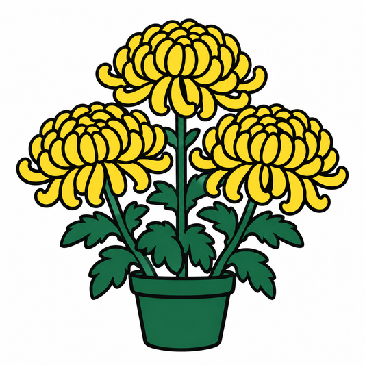 秋の菊花展で楽しむ大ギクと三本立の世界