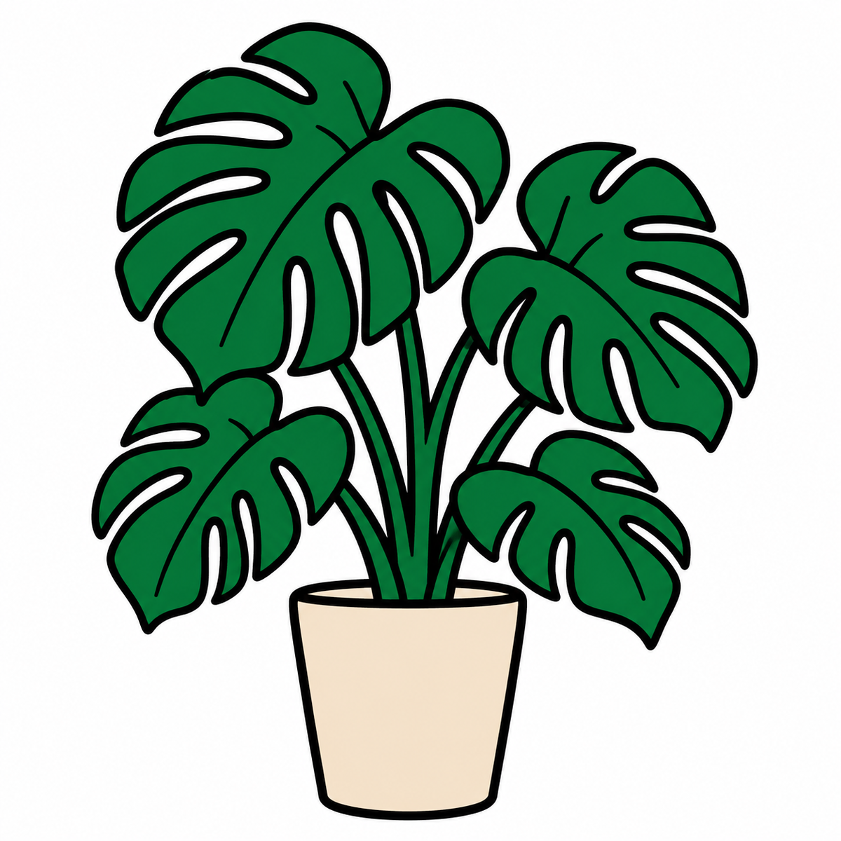 滝沢眞規子さんの自宅に映える大きな植物