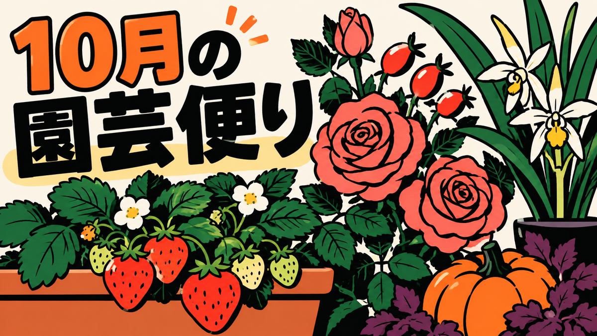 10月の園芸ニュースまとめ、イチゴ栽培や秋バラを楽しむ話題