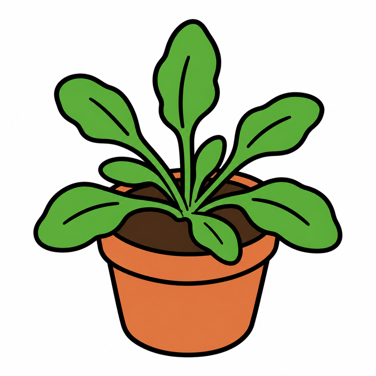 弱い変動光で植物の成長を高めるPGR5量を解明