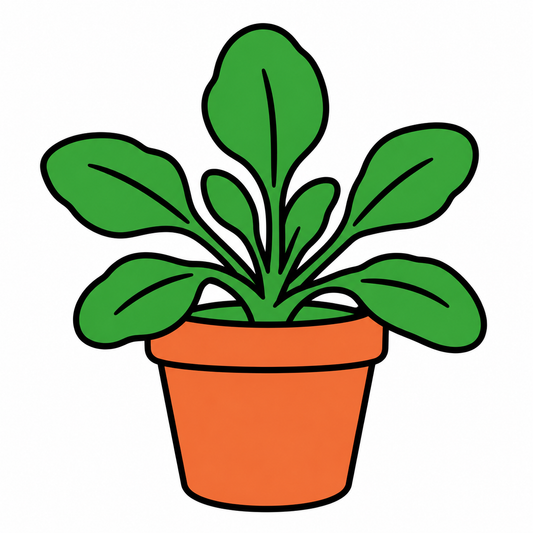 弱い変動光で植物成長を高めるPGR5の適量を確認