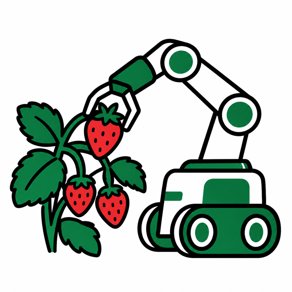 大府市でいちご栽培と自動収穫ロボット開発を推進