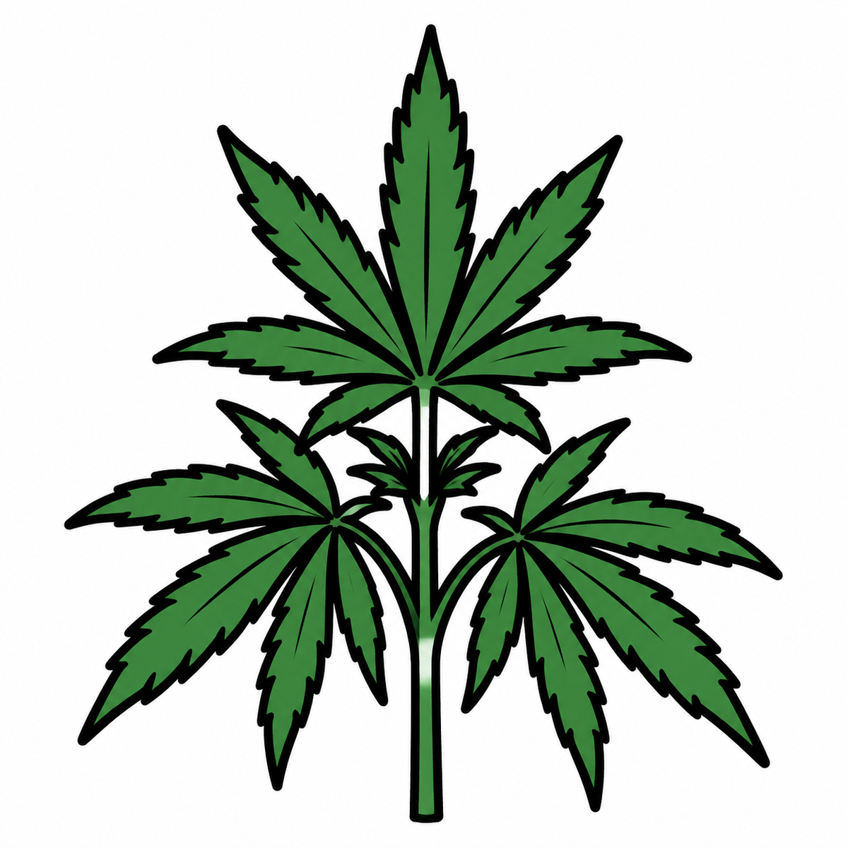 熊本の畑で大麻草とみられる植物180株を押収