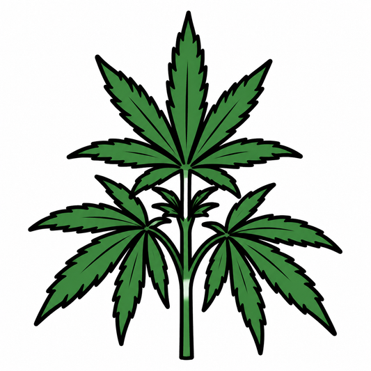 熊本の畑で大麻草とみられる植物180株を押収