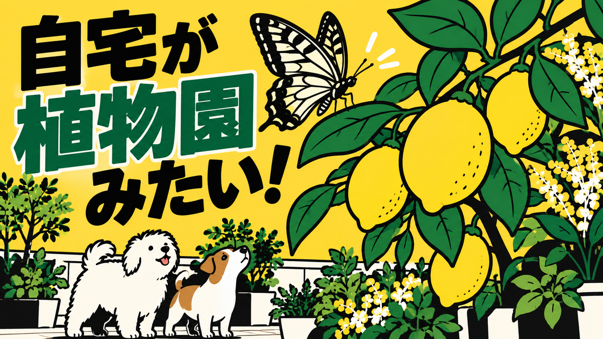 秋のガーデニング便り、屋上で育つレモンや草木の様子