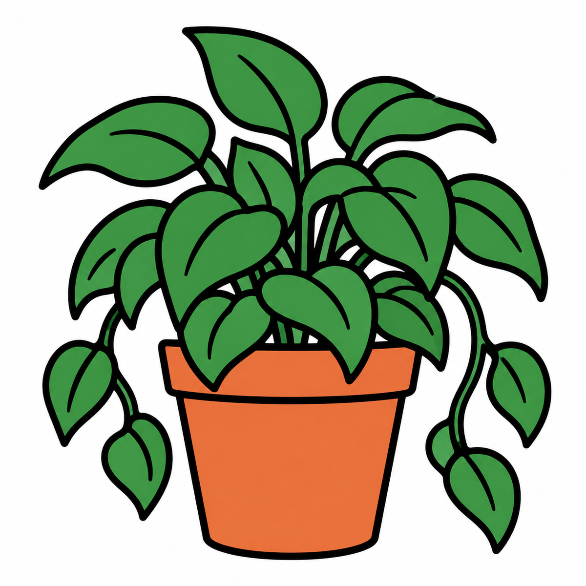 假屋崎省吾さんの自宅が植物園のように！冬に向けて室内に並ぶ鉢植え