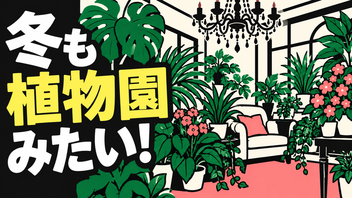 秋から冬へ、観葉植物と花に囲まれた住まいの話題を紹介
