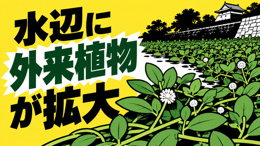 環境・生物多様性ニュースまとめ　大分で確認された外来植物