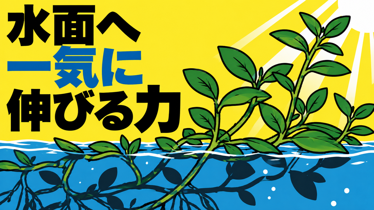 病害虫・雑草対策の最新動向｜外来植物の成長メカニズムと防除研究