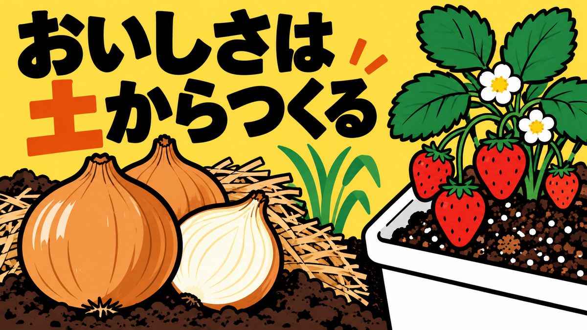 肥料・土づくりの話題2選｜タマネギ農家の工夫とイチゴの用土配合