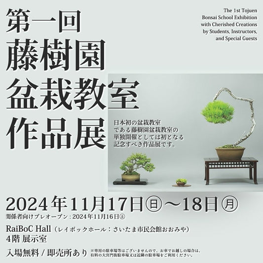 第一回藤樹園盆栽教室作品展、さいたま市大宮で開催、盆栽愛好家必見のイベント