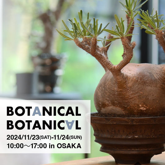 BOTANICAL BOTANICAL OSAKAが箕面で開催決定、全国30社以上が集結する植物とライフスタイルの総合展示会に