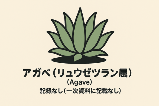 【アガベ】の花言葉は「貴（あがめる）」｜語源から読み解く本当の意味