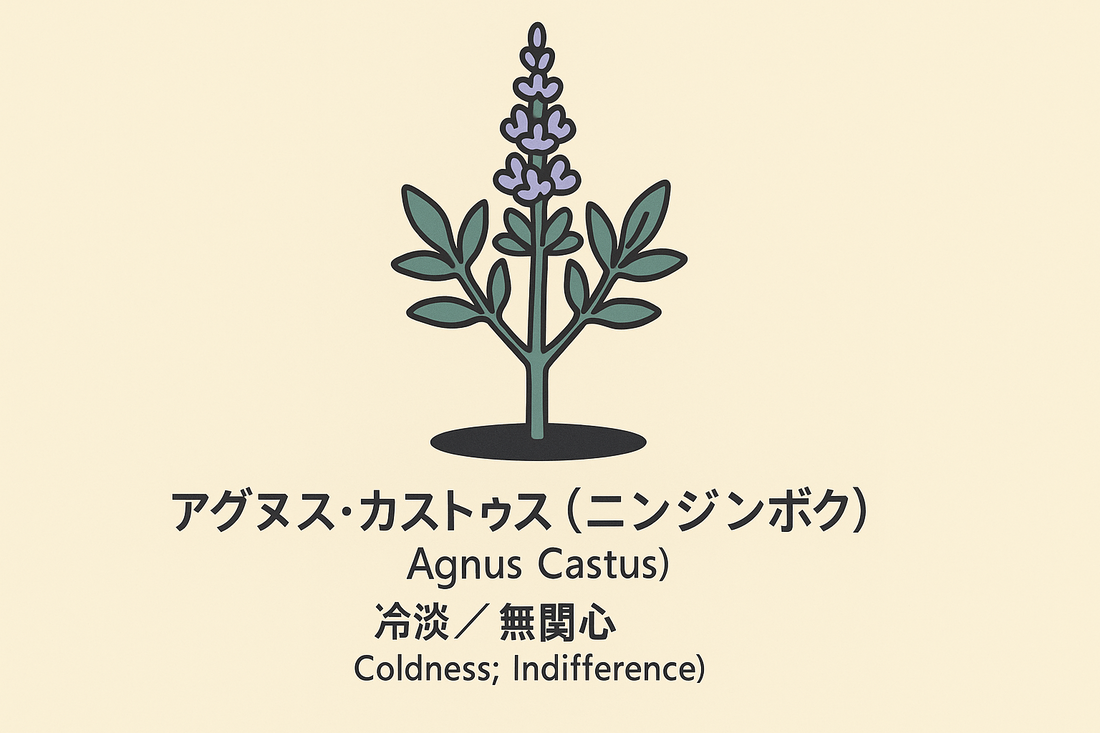 【アグヌス・カストゥス】の花言葉は「冷淡・無関心」｜文献記録の背景