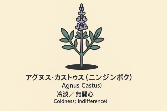 【アグヌス・カストゥス】の花言葉は「冷淡・無関心」｜文献記録の背景