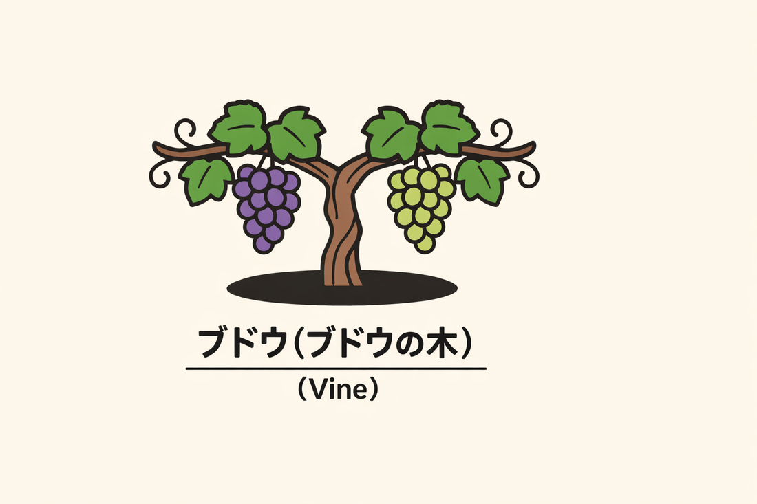 【ブドウ】の花言葉は「陶酔」｜Greenawayが記した象徴と由来